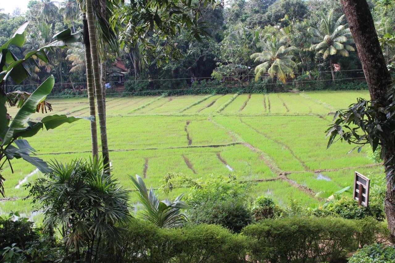 Paddy Field Villa ミディガマ・イースト エクステリア 写真