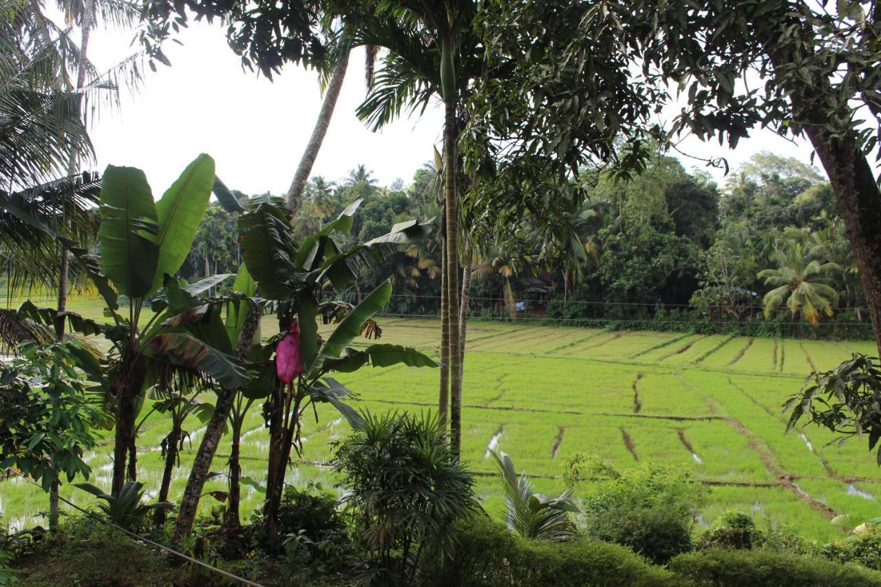 Paddy Field Villa ミディガマ・イースト エクステリア 写真