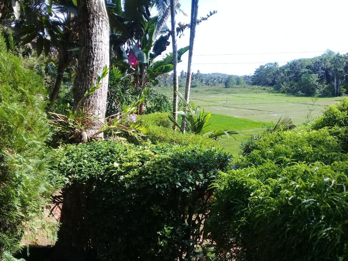 Paddy Field Villa ミディガマ・イースト エクステリア 写真