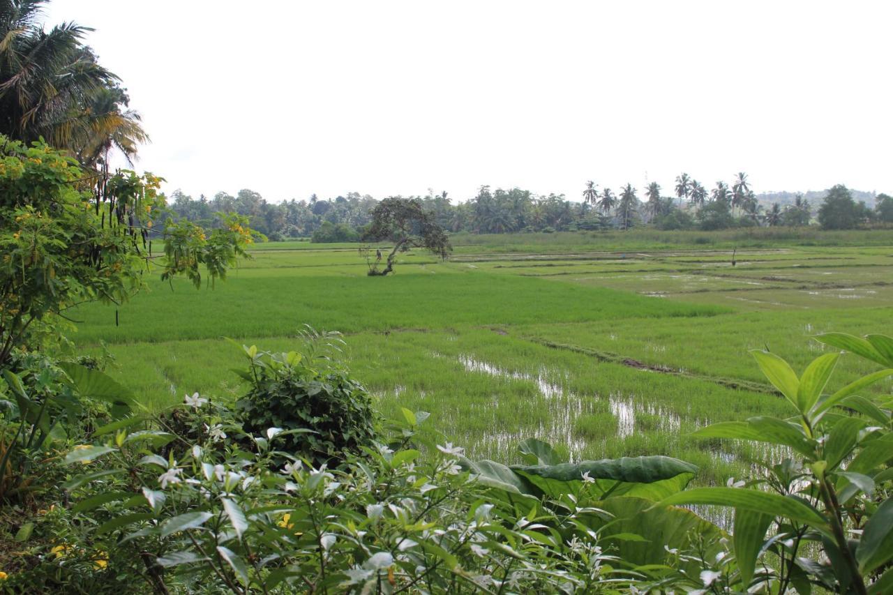 Paddy Field Villa ミディガマ・イースト エクステリア 写真