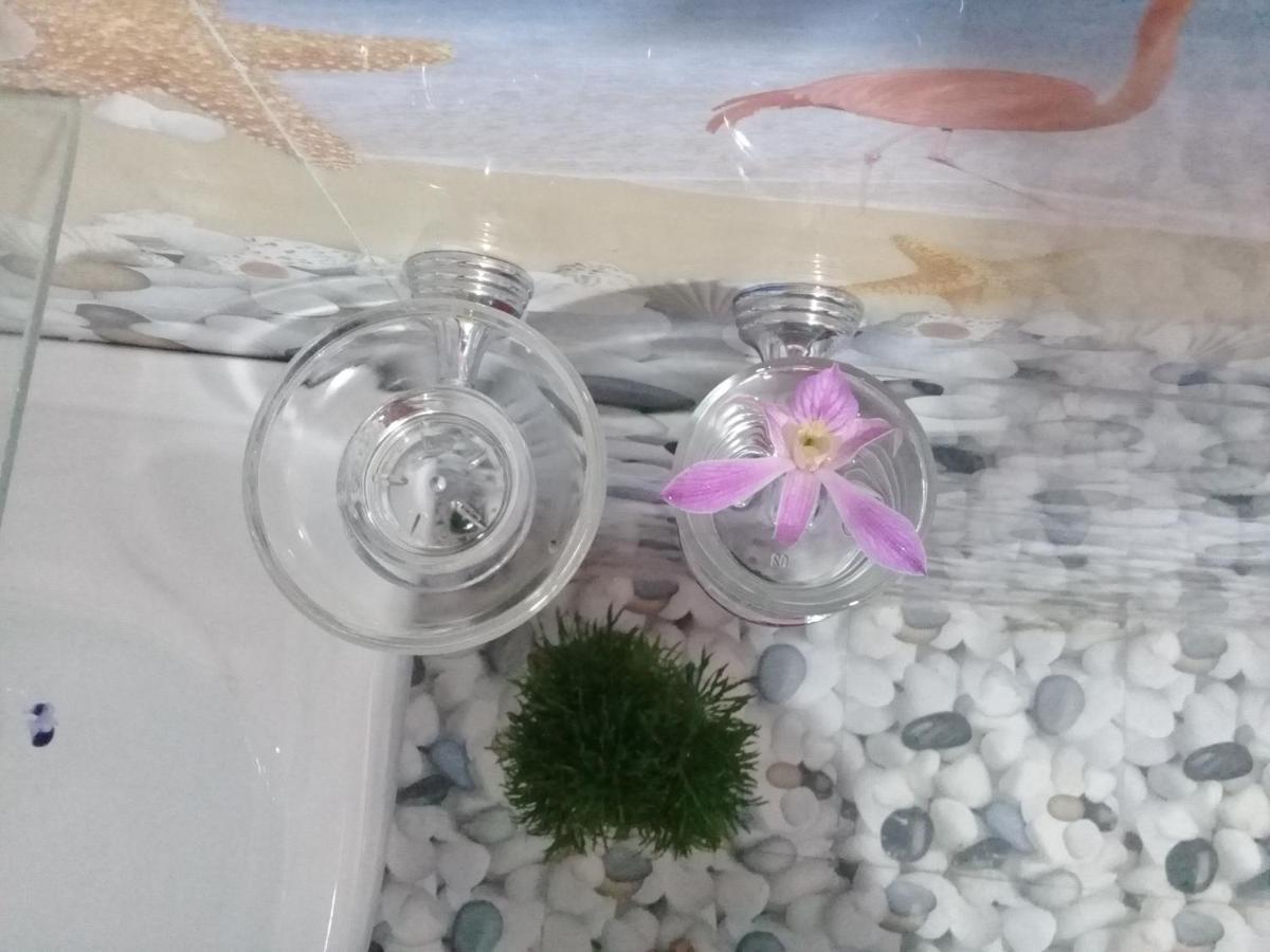 Paddy Field Villa ミディガマ・イースト エクステリア 写真